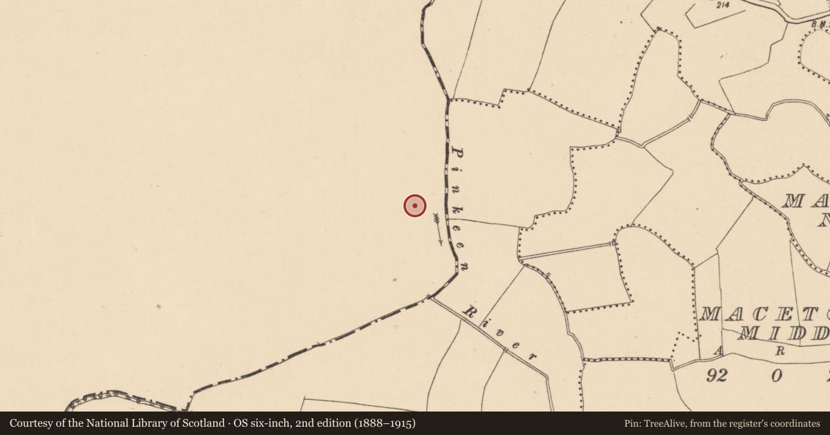 Ordnance Survey six-inch map, 2nd edition (1888–1915) covering the location of Pit, Gunnocks, County Meath, with a pin at the register's coordinates