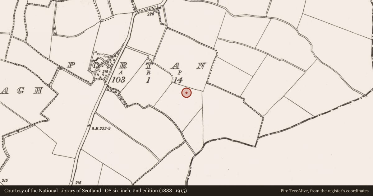 Ordnance Survey six-inch map, 2nd edition (1888–1915) covering the location of Pit, Portan, County Meath, with a pin at the register's coordinates