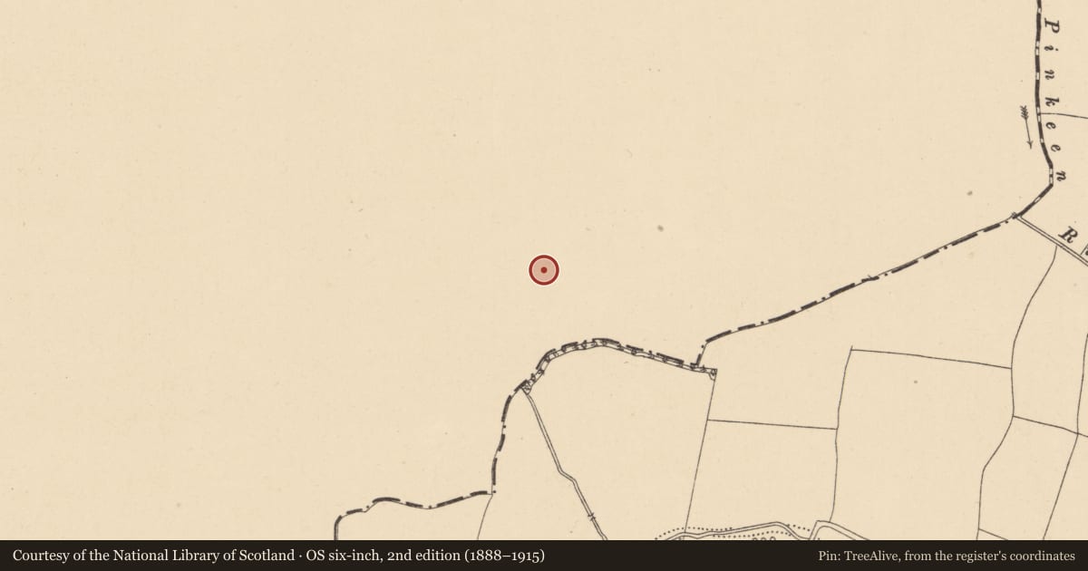 Ordnance Survey six-inch map, 2nd edition (1888–1915) covering the location of Pit, Portan, County Meath, with a pin at the register's coordinates