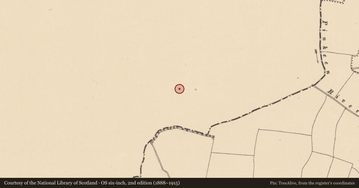 Ordnance Survey six-inch map, 2nd edition (1888–1915) covering the location of Pit, Portan, County Meath, with a pin at the register's coordinates
