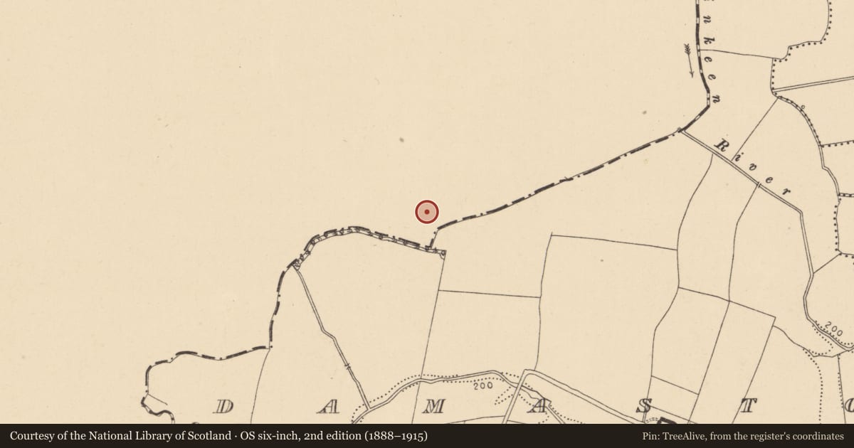 Ordnance Survey six-inch map, 2nd edition (1888–1915) covering the location of Pit, Portan, County Meath, with a pin at the register's coordinates