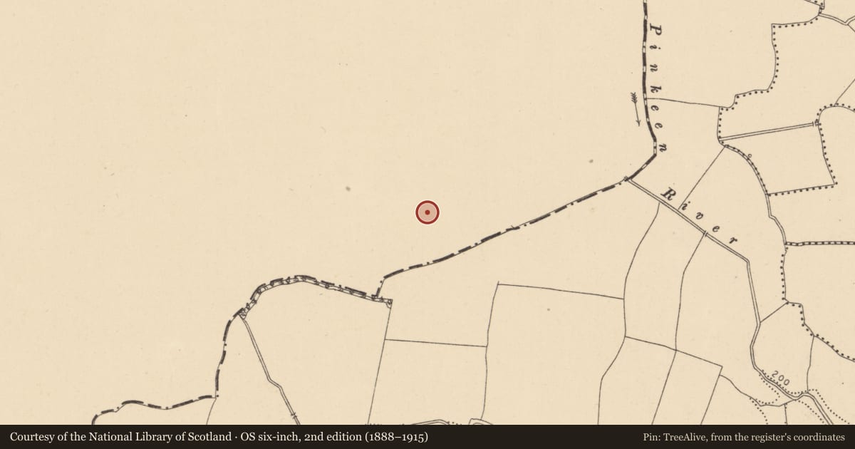 Ordnance Survey six-inch map, 2nd edition (1888–1915) covering the location of Pit, Gunnocks, County Meath, with a pin at the register's coordinates
