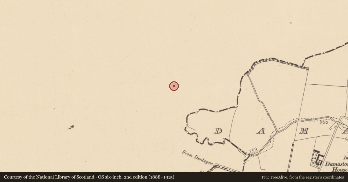 Ordnance Survey six-inch map, 2nd edition (1888–1915) covering the location of Pit, Clonee, County Meath, with a pin at the register's coordinates