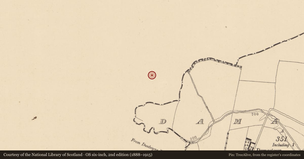 Ordnance Survey six-inch map, 2nd edition (1888–1915) covering the location of Pit, Clonee, County Meath, with a pin at the register's coordinates