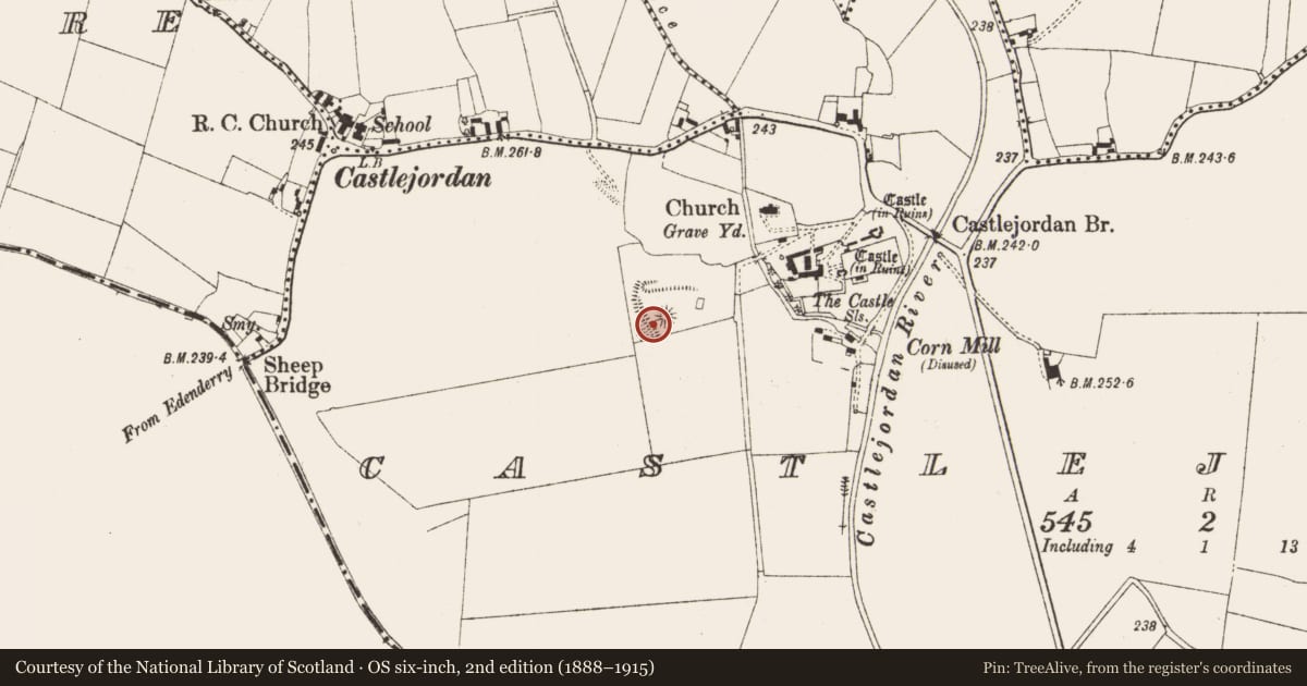 Ordnance Survey six-inch map, 2nd edition (1888–1915) covering the location of Mound, Castlejordan, County Meath, with a pin at the register's coordinates