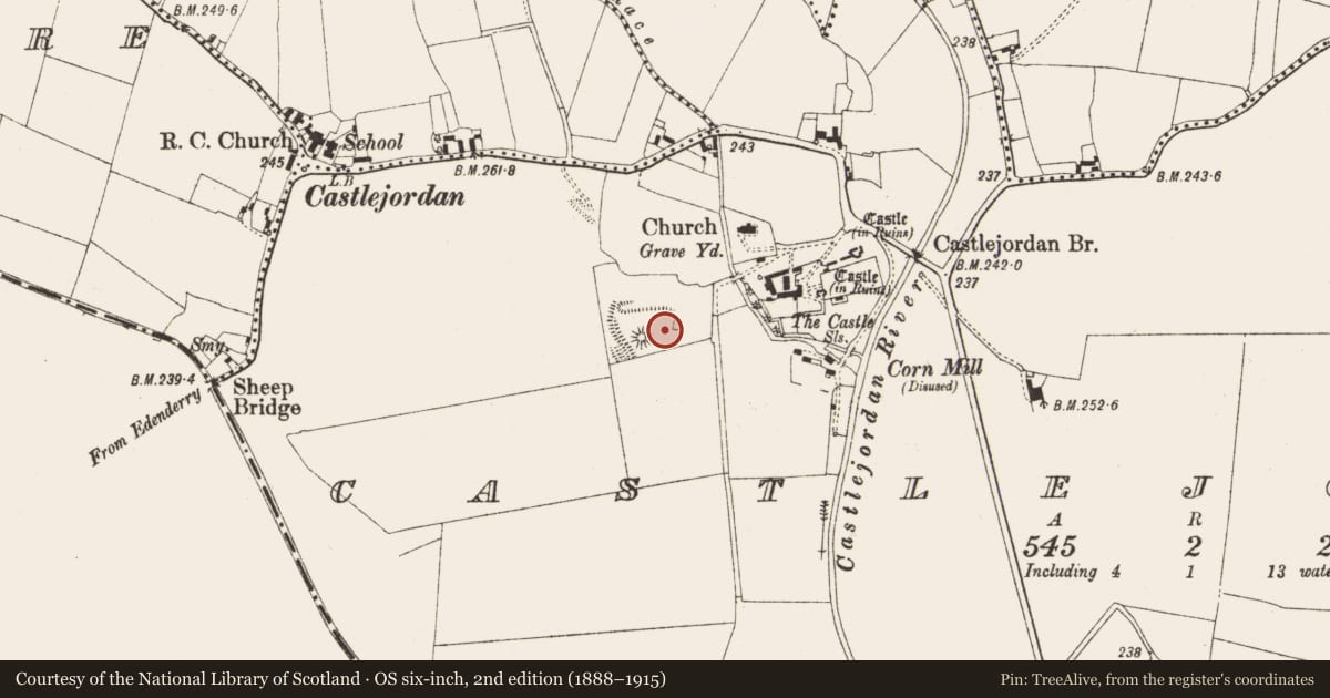 Ordnance Survey six-inch map, 2nd edition (1888–1915) covering the location of Castle - unclassified, Castlejordan, County Meath, with a pin at the register's coordinates