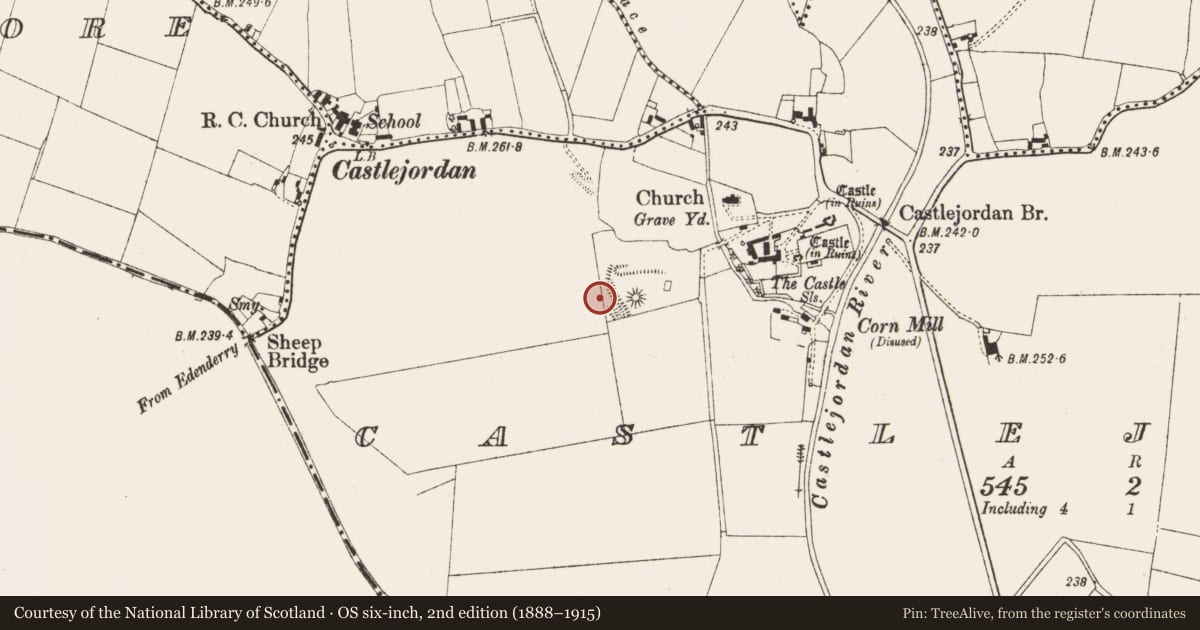 Ordnance Survey six-inch map, 2nd edition (1888–1915) covering the location of Linear earthwork, Castlejordan, County Meath, with a pin at the register's coordinates