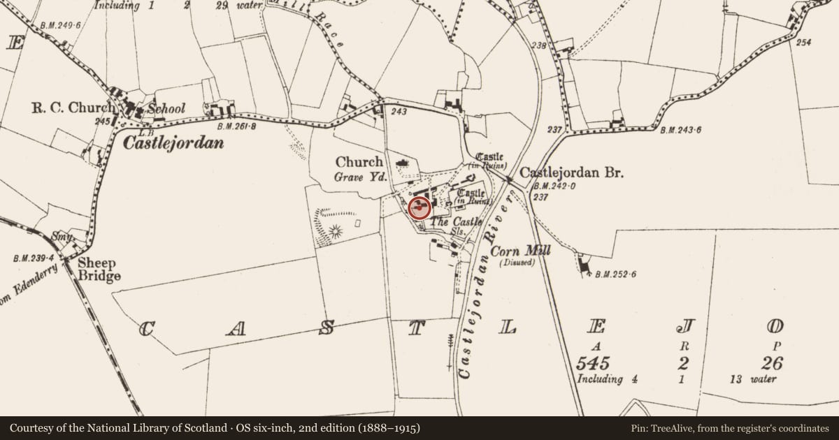 Ordnance Survey six-inch map, 2nd edition (1888–1915) covering the location of Inscribed stone, Castlejordan, County Meath, with a pin at the register's coordinates