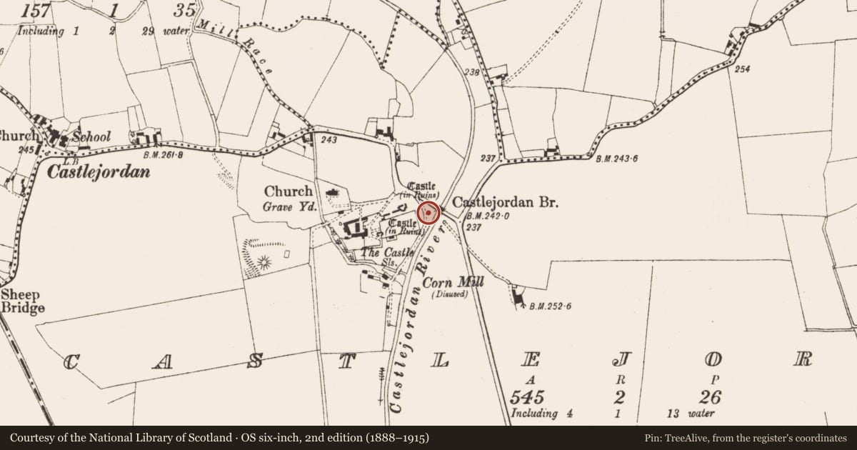 Ordnance Survey six-inch map, 2nd edition (1888–1915) covering the location of Bridge, Castlejordan, County Meath, with a pin at the register's coordinates