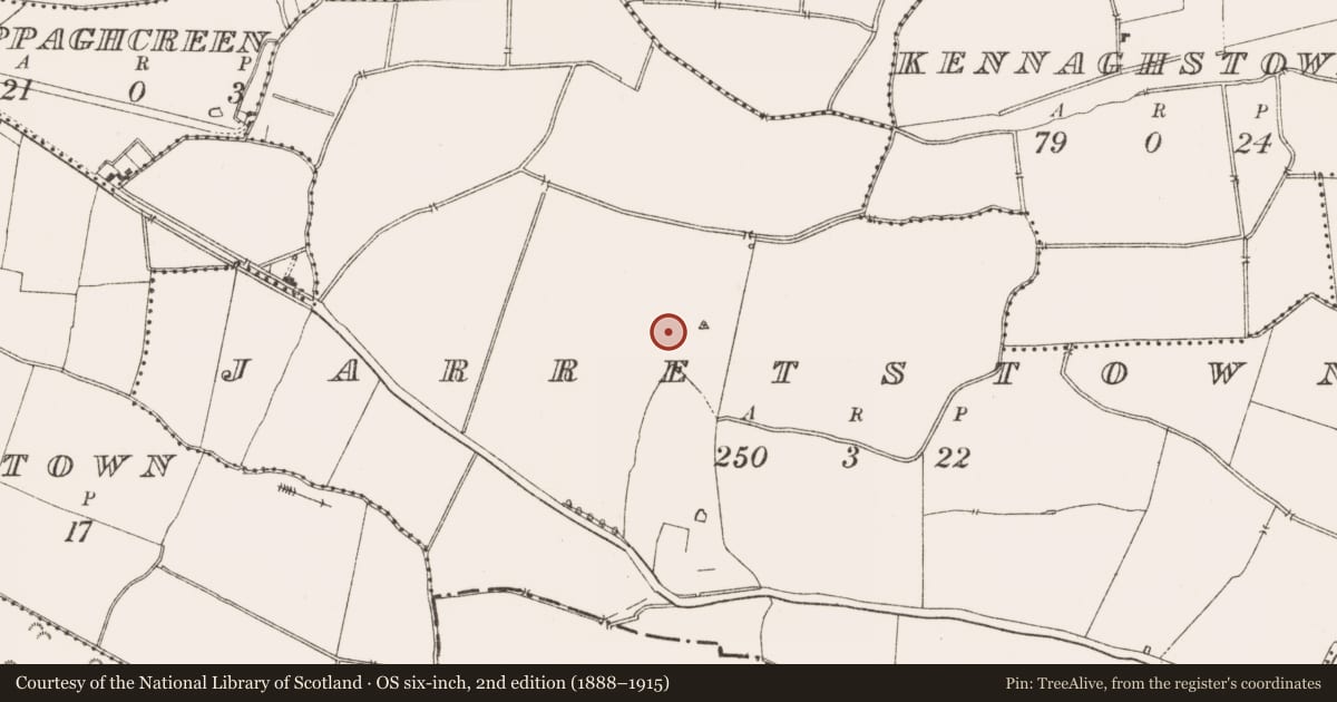 Ordnance Survey six-inch map, 2nd edition (1888–1915) covering the location of Church, Jarretstown, County Meath, with a pin at the register's coordinates