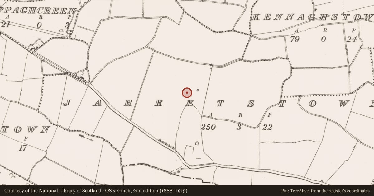 Ordnance Survey six-inch map, 2nd edition (1888–1915) covering the location of Graveyard, Jarretstown, County Meath, with a pin at the register's coordinates