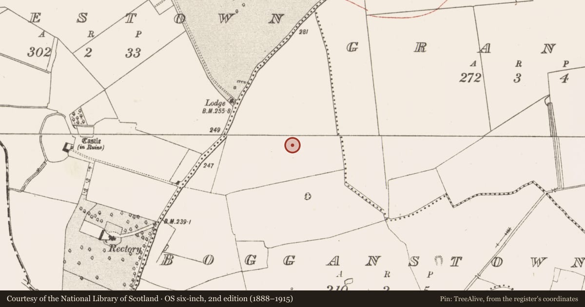 Ordnance Survey six-inch map, 2nd edition (1888–1915) covering the location of Ring-ditch, Bogganstown, County Meath, with a pin at the register's coordinates
