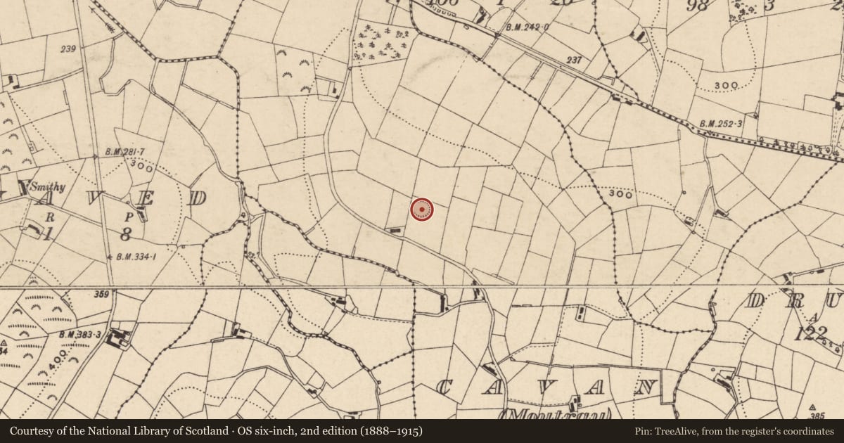 Ordnance Survey six-inch map, 2nd edition (1888–1915) covering the location of Ringfort - rath, Cavan (Moutray), County Monaghan, with a pin at the register's coordinates