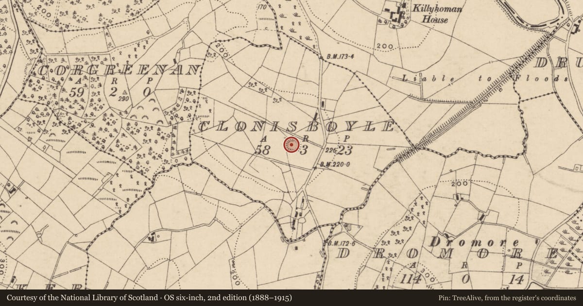 Ordnance Survey six-inch map, 2nd edition (1888–1915) covering the location of Ringfort - rath, Clonisboyle, County Monaghan, with a pin at the register's coordinates