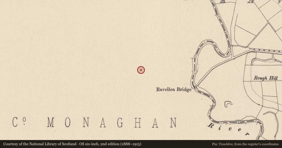 Ordnance Survey six-inch map, 2nd edition (1888–1915) covering the location of Ringfort - rath, Derrylevick, County Monaghan, with a pin at the register's coordinates