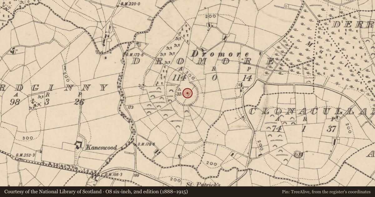 Ordnance Survey six-inch map, 2nd edition (1888–1915) covering the location of Designed landscape feature, Dromore, County Monaghan, with a pin at the register's coordinates