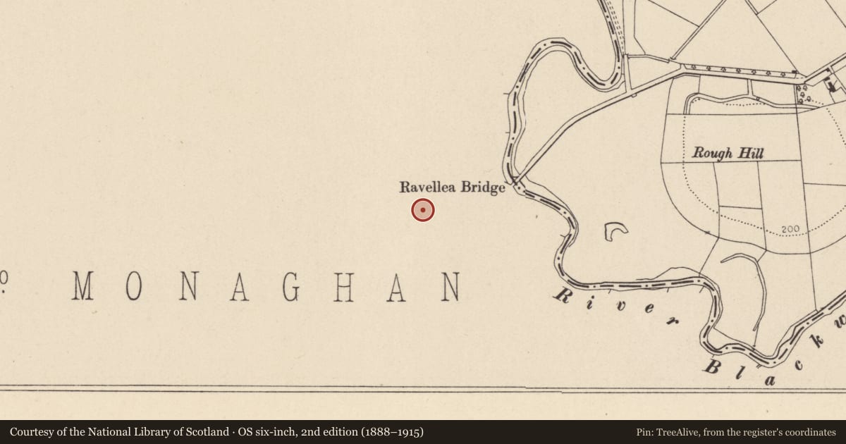 Ordnance Survey six-inch map, 2nd edition (1888–1915) covering the location of Ringfort - rath, Derrylevick, County Monaghan, with a pin at the register's coordinates