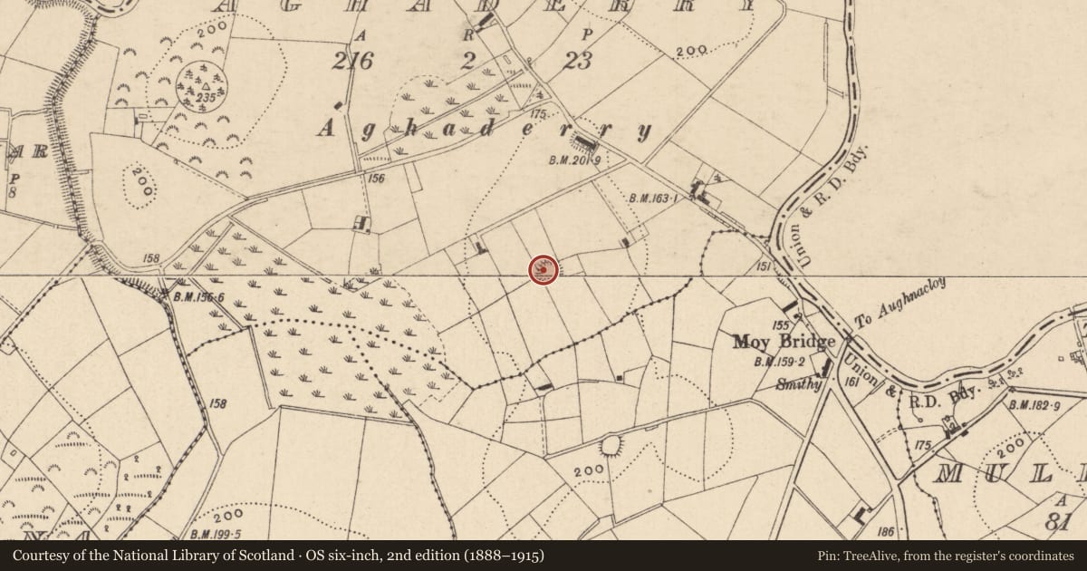 Ordnance Survey six-inch map, 2nd edition (1888–1915) covering the location of Ringfort - rath, Aghaderry, County Monaghan, with a pin at the register's coordinates