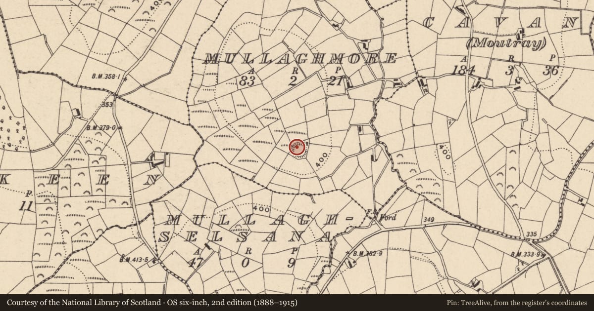 Ordnance Survey six-inch map, 2nd edition (1888–1915) covering the location of Ringfort - rath, Mullaghmore, County Monaghan, with a pin at the register's coordinates