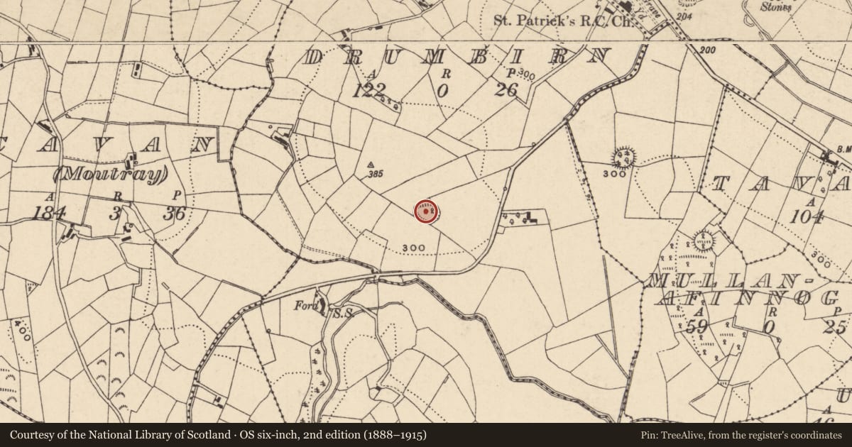 Ordnance Survey six-inch map, 2nd edition (1888–1915) covering the location of Ringfort - rath, Drumbirn, County Monaghan, with a pin at the register's coordinates