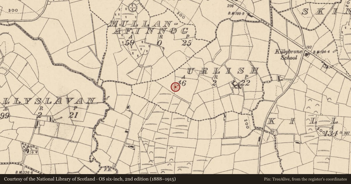 Ordnance Survey six-inch map, 2nd edition (1888–1915) covering the location of Burial ground, Urlish, County Monaghan, with a pin at the register's coordinates