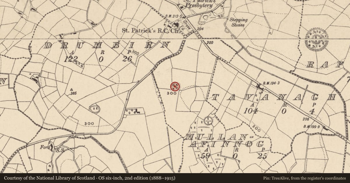 Ordnance Survey six-inch map, 2nd edition (1888–1915) covering the location of Ringfort - rath, Mullanafinnog, County Monaghan, with a pin at the register's coordinates