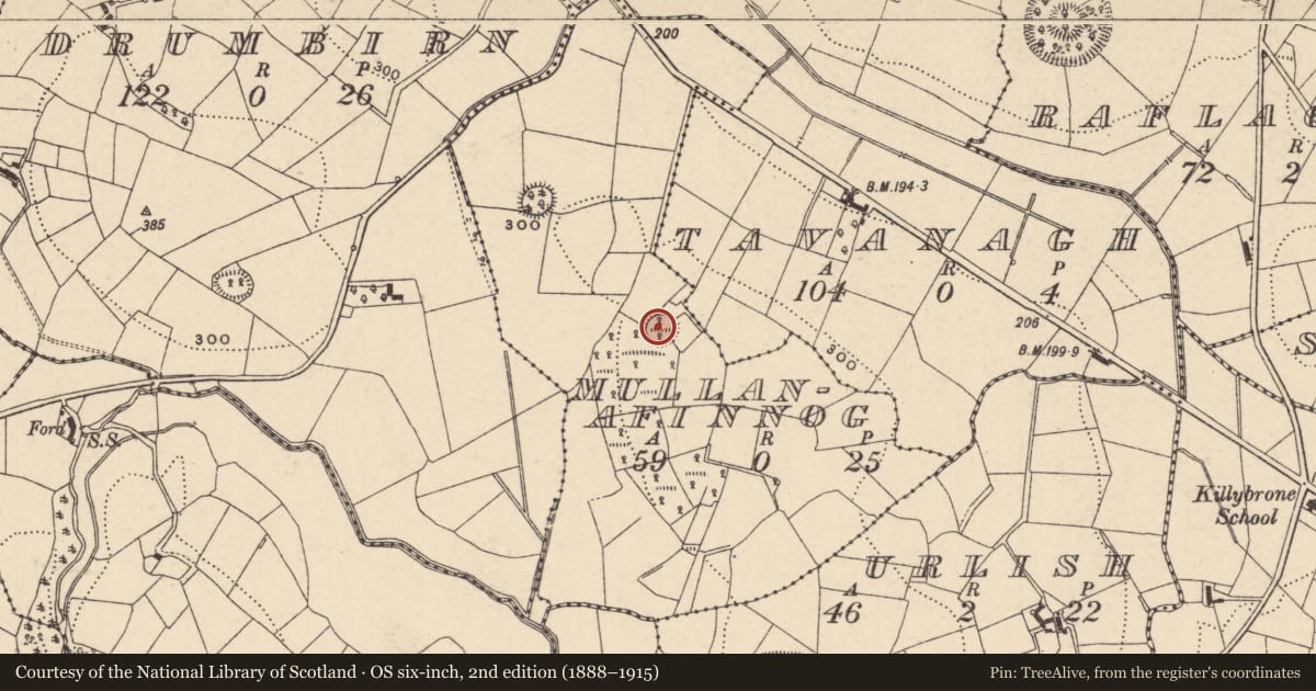Ordnance Survey six-inch map, 2nd edition (1888–1915) covering the location of Ringfort - rath, Mullanafinnog, County Monaghan, with a pin at the register's coordinates