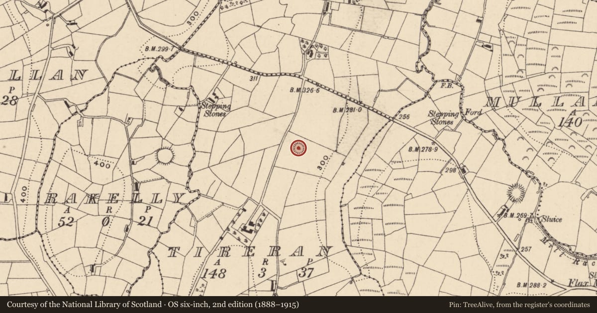Ordnance Survey six-inch map, 2nd edition (1888–1915) covering the location of Ringfort - rath, Tireran, County Monaghan, with a pin at the register's coordinates