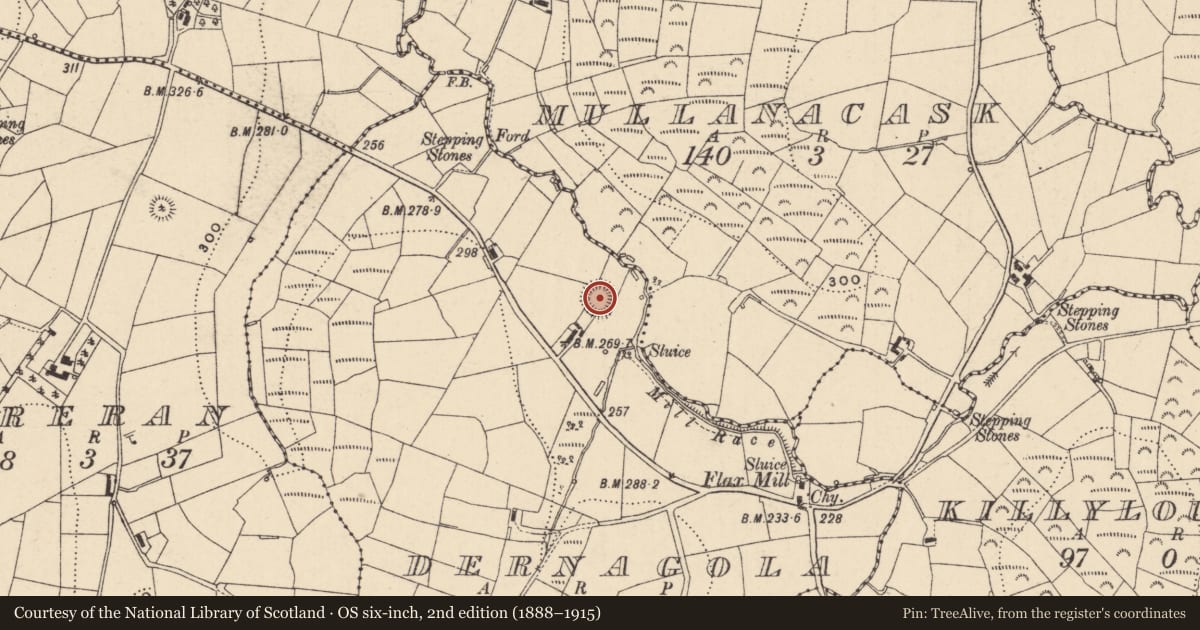 Ordnance Survey six-inch map, 2nd edition (1888–1915) covering the location of Ringfort - rath, Dernagola, County Monaghan, with a pin at the register's coordinates