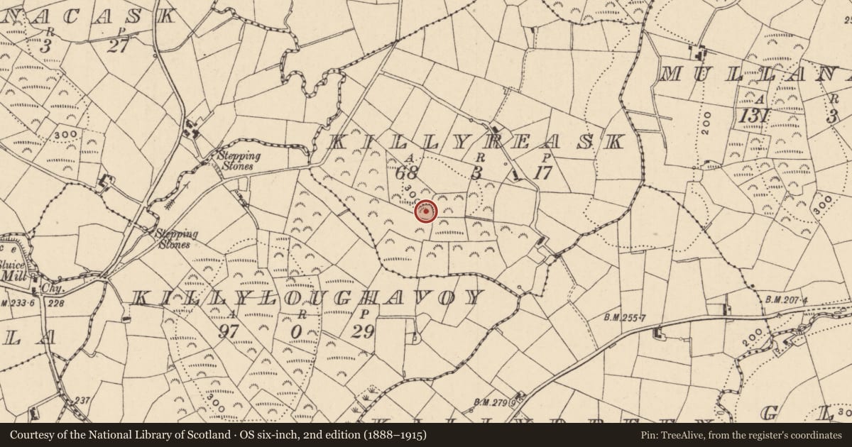 Ordnance Survey six-inch map, 2nd edition (1888–1915) covering the location of Ringfort - rath, Killyreask, County Monaghan, with a pin at the register's coordinates