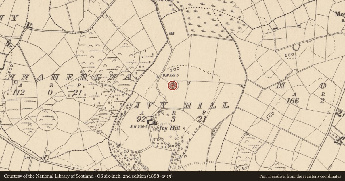 Ordnance Survey six-inch map, 2nd edition (1888–1915) covering the location of Ringfort - rath, Ivy Hill, County Monaghan, with a pin at the register's coordinates