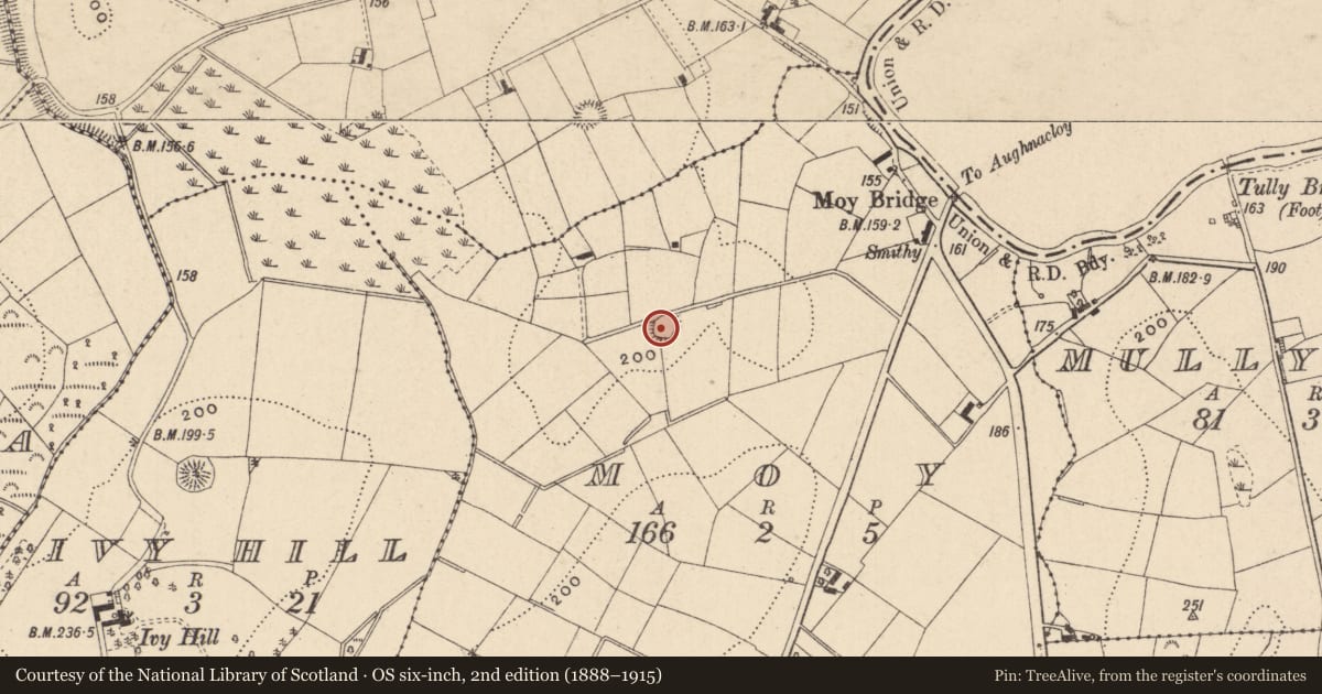 Ordnance Survey six-inch map, 2nd edition (1888–1915) covering the location of Ringfort - rath, Moy, County Monaghan, with a pin at the register's coordinates