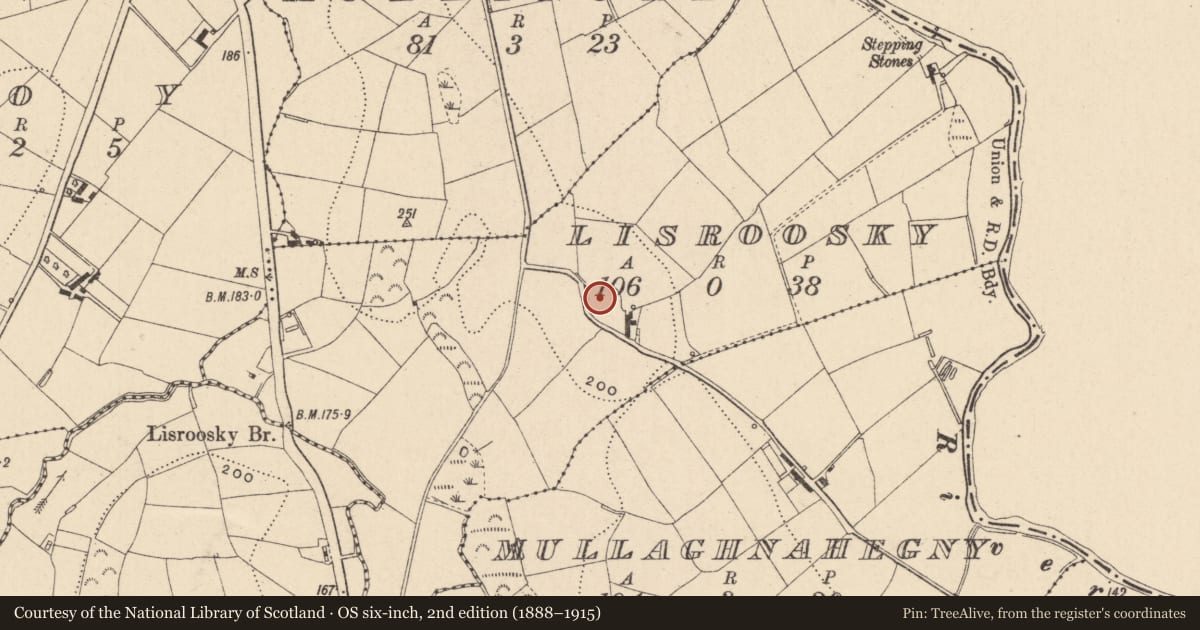 Ordnance Survey six-inch map, 2nd edition (1888–1915) covering the location of Ringfort - rath, Lisroosky, County Monaghan, with a pin at the register's coordinates