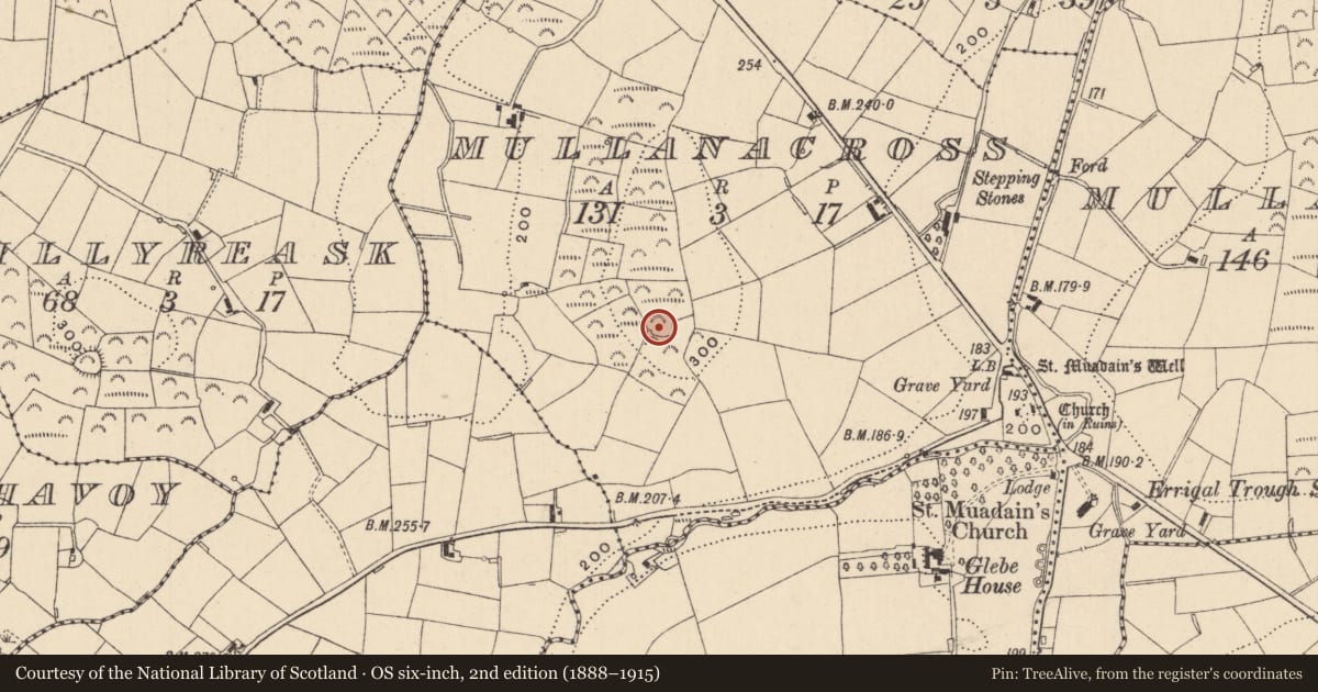 Ordnance Survey six-inch map, 2nd edition (1888–1915) covering the location of Ringfort - rath, Mullanacross, County Monaghan, with a pin at the register's coordinates