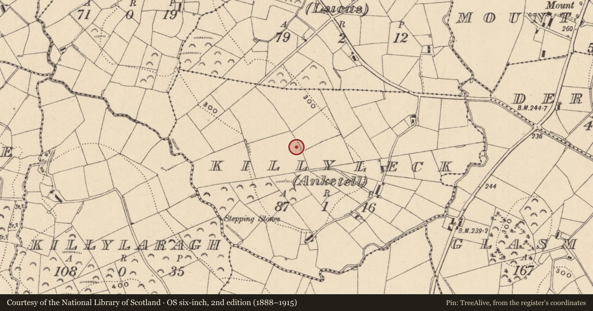 Ordnance Survey six-inch map, 2nd edition (1888–1915) covering the location of Ringfort - rath, Killyleck (Anketell), County Monaghan, with a pin at the register's coordinates