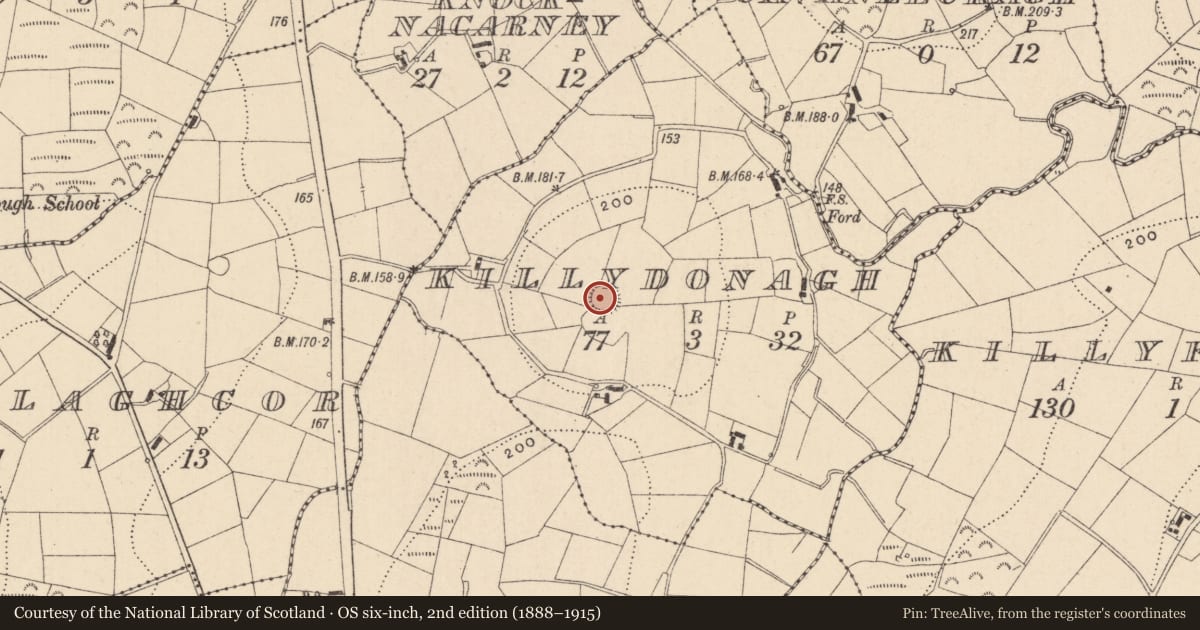 Ordnance Survey six-inch map, 2nd edition (1888–1915) covering the location of Ringfort - rath, Killydonagh, County Monaghan, with a pin at the register's coordinates