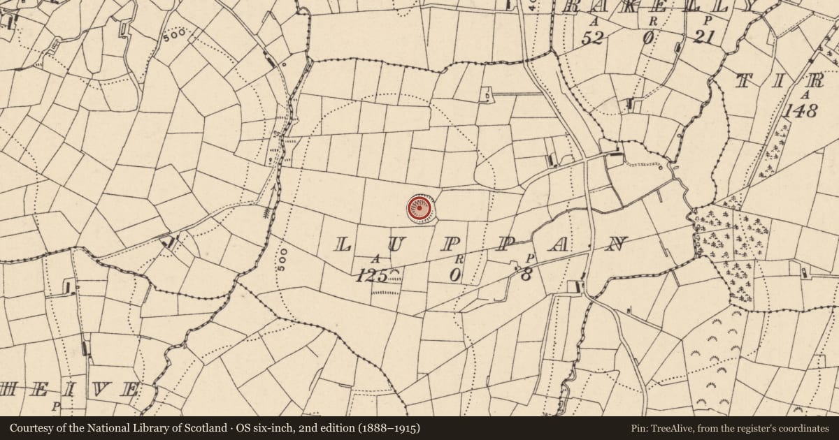 Ordnance Survey six-inch map, 2nd edition (1888–1915) covering the location of Ringfort - rath, Luppan, County Monaghan, with a pin at the register's coordinates