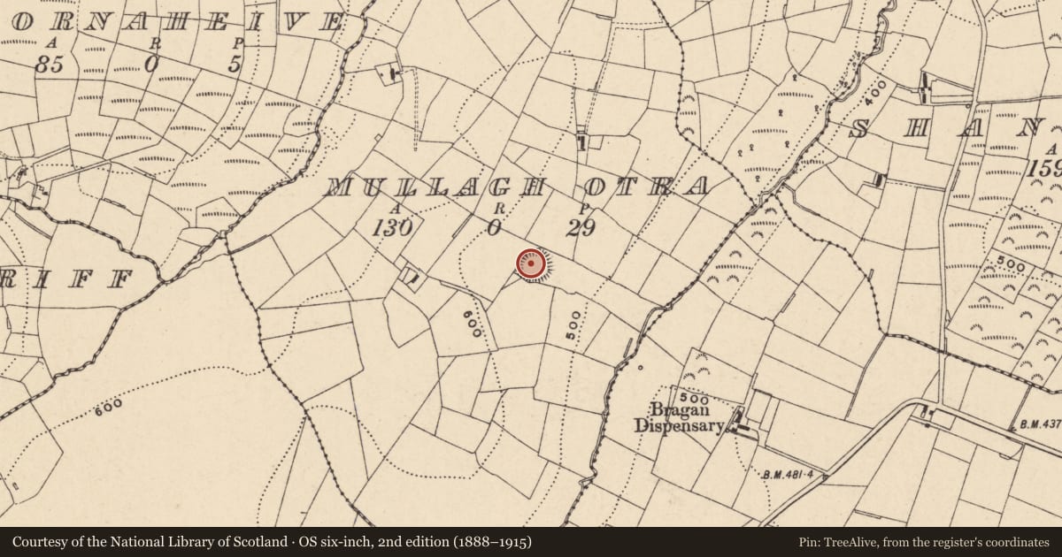 Ordnance Survey six-inch map, 2nd edition (1888–1915) covering the location of Ringfort - rath, Mullagh Otra, County Monaghan, with a pin at the register's coordinates