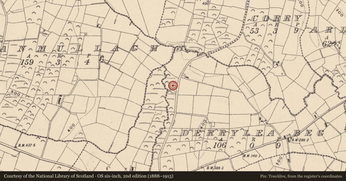 Ordnance Survey six-inch map, 2nd edition (1888–1915) covering the location of Ringfort - rath, Derrylea Beg, County Monaghan, with a pin at the register's coordinates