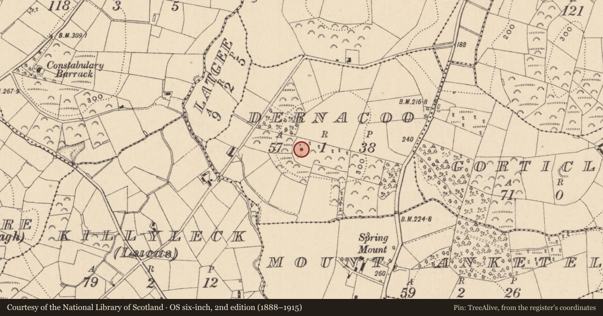 Ordnance Survey six-inch map, 2nd edition (1888–1915) covering the location of Hilltop enclosure, Dernacoo, County Monaghan, with a pin at the register's coordinates