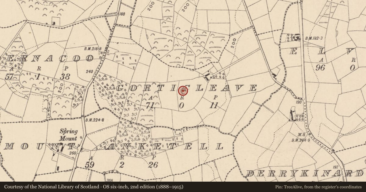 Ordnance Survey six-inch map, 2nd edition (1888–1915) covering the location of Ringfort - rath, Gorticleave, County Monaghan, with a pin at the register's coordinates