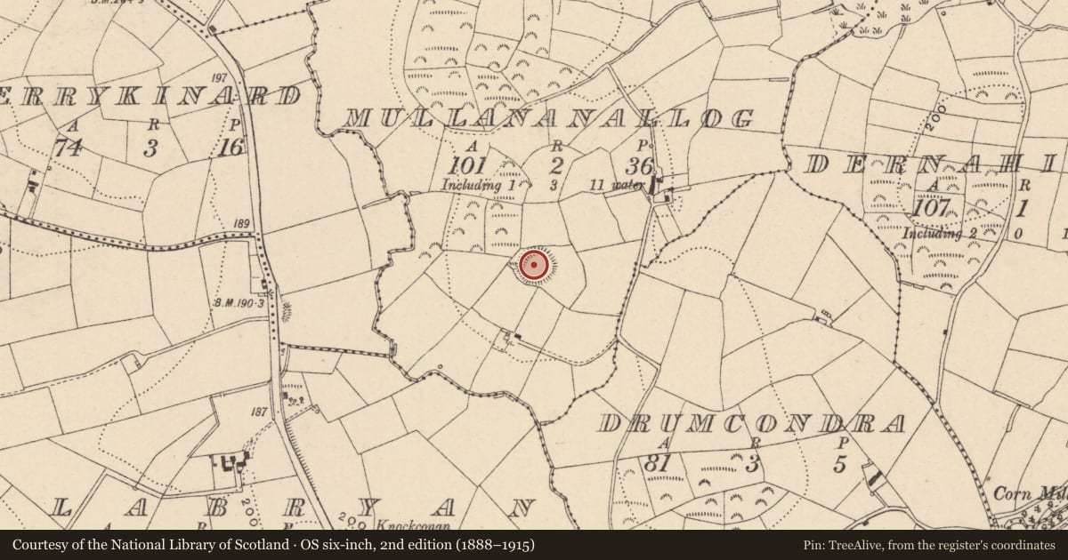 Ordnance Survey six-inch map, 2nd edition (1888–1915) covering the location of Ringfort - rath, Mullananallog, County Monaghan, with a pin at the register's coordinates