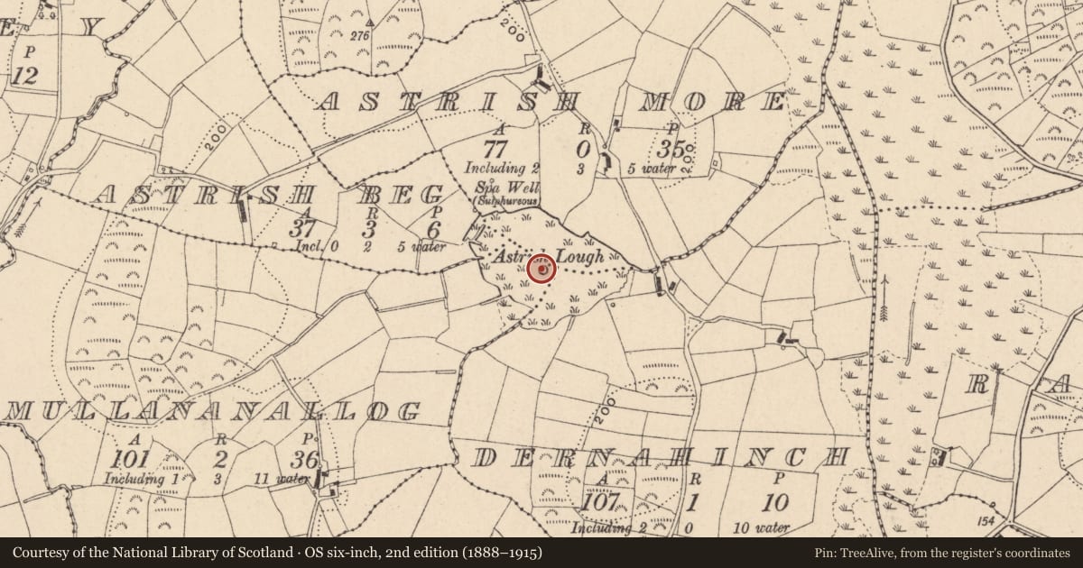 Ordnance Survey six-inch map, 2nd edition (1888–1915) covering the location of Crannog, Mullananallog, County Monaghan, with a pin at the register's coordinates