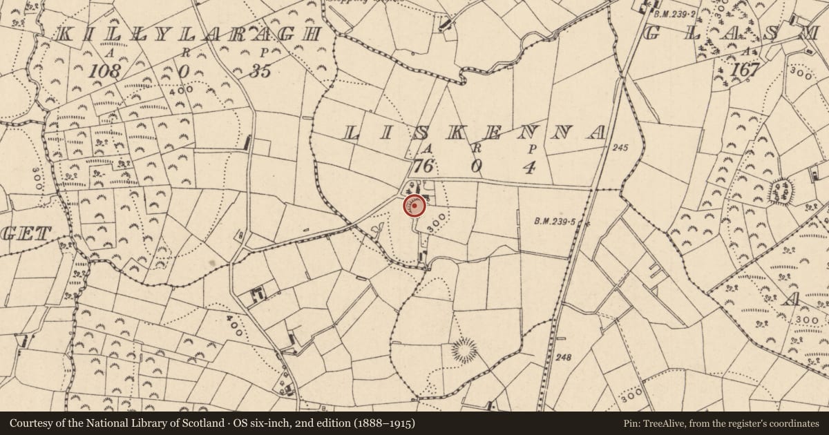Ordnance Survey six-inch map, 2nd edition (1888–1915) covering the location of Ringfort - rath, Liskenna, County Monaghan, with a pin at the register's coordinates