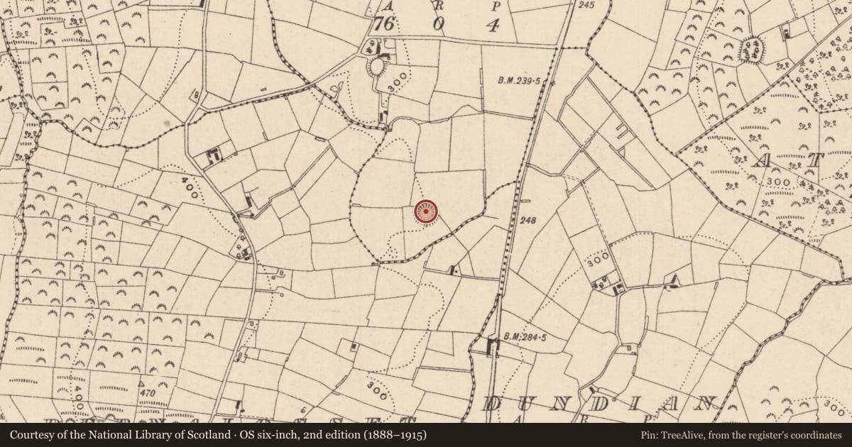 Ordnance Survey six-inch map, 2nd edition (1888–1915) covering the location of Ringfort - rath, Liskenna, County Monaghan, with a pin at the register's coordinates