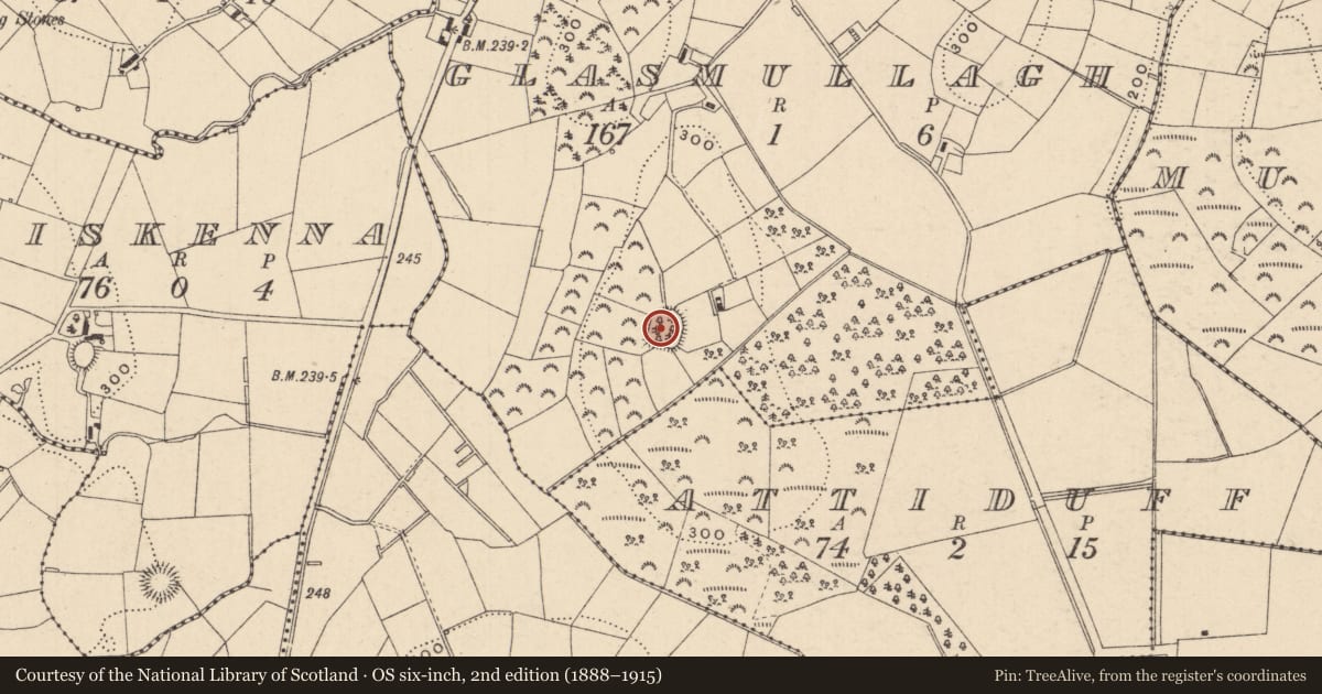 Ordnance Survey six-inch map, 2nd edition (1888–1915) covering the location of Ringfort - rath, Glasmullagh, County Monaghan, with a pin at the register's coordinates