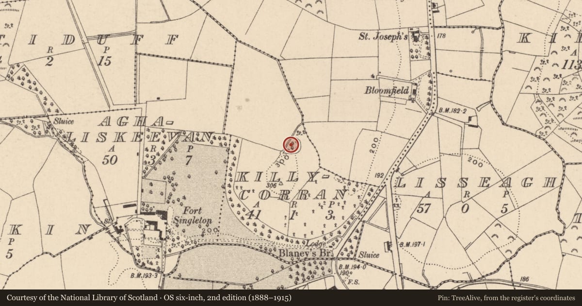 Ordnance Survey six-inch map, 2nd edition (1888–1915) covering the location of Ringfort - rath, Killycorran, County Monaghan, with a pin at the register's coordinates