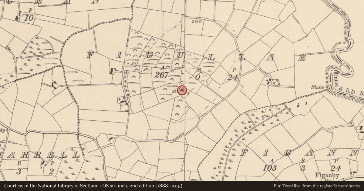 Ordnance Survey six-inch map, 2nd edition (1888–1915) covering the location of Ringfort - rath, Figullar, County Monaghan, with a pin at the register's coordinates