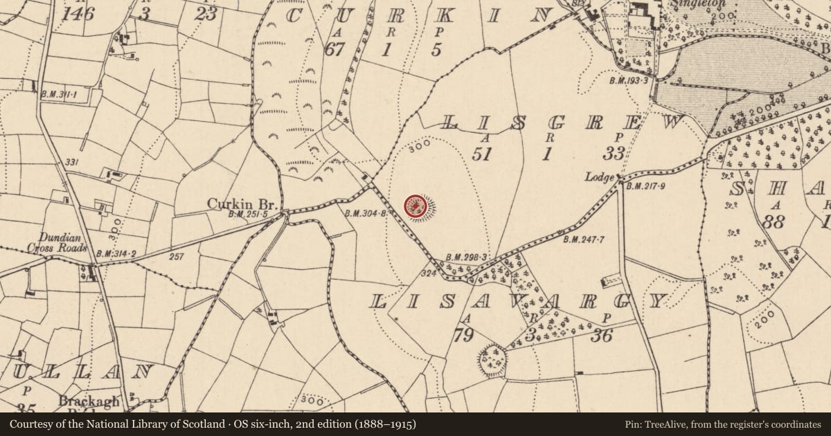 Ordnance Survey six-inch map, 2nd edition (1888–1915) covering the location of Ringfort - rath, Lisgrew, County Monaghan, with a pin at the register's coordinates