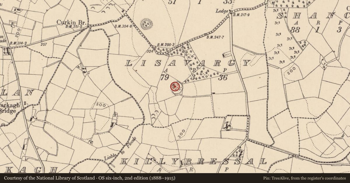 Ordnance Survey six-inch map, 2nd edition (1888–1915) covering the location of Ringfort - rath, Lisavargy, County Monaghan, with a pin at the register's coordinates